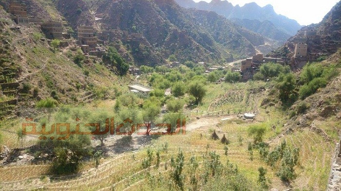 مؤسسة شباب أبين تقيم حلقة نقاشية عن دور المؤسسات الحكومية في المرحلة الانتقالية