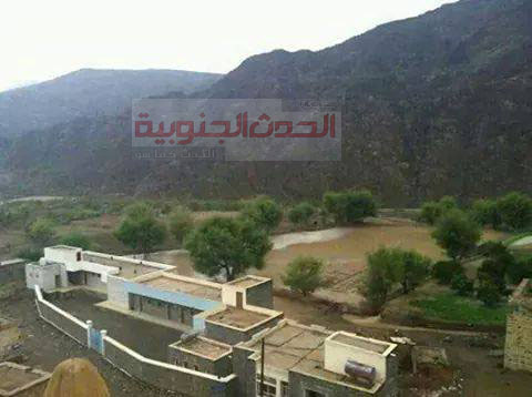 قلق وخوف بعد انتشار حمى الضنك بجيشان