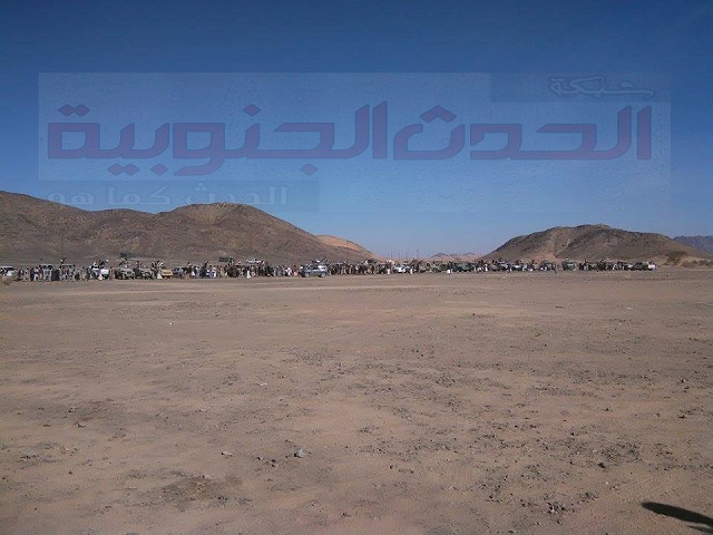 1500 يمني تدربوا في السعودية لتحرير شبوة