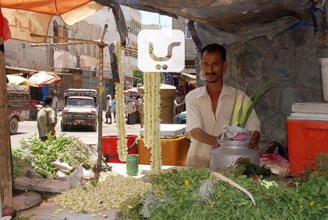 رغم دمار المتمردين .. عدن تستقبلك بزهر الفل بعد التحرير