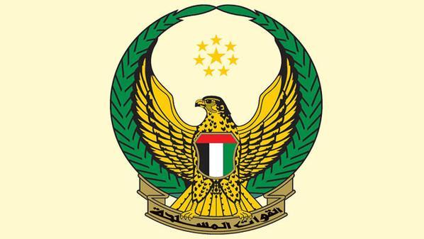 في بيان رسمي: 45 شهيدا إماراتيا في احداث مأرب باليمن