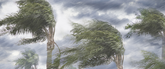 الاثنين القادم إعصار نادر يهدد اليمن وعُمان بفيضانات.. وأمطاره تعادل أمطارَ عامٍ خلال يومين