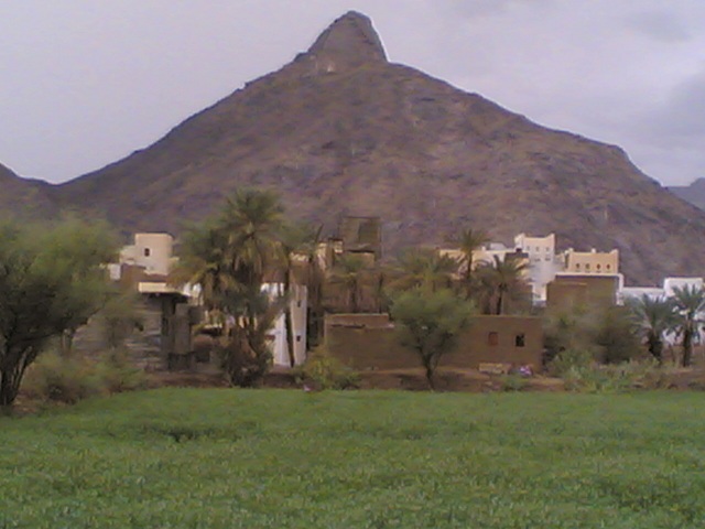 ندعم بيحان محافظة مستقلة عن شبوة