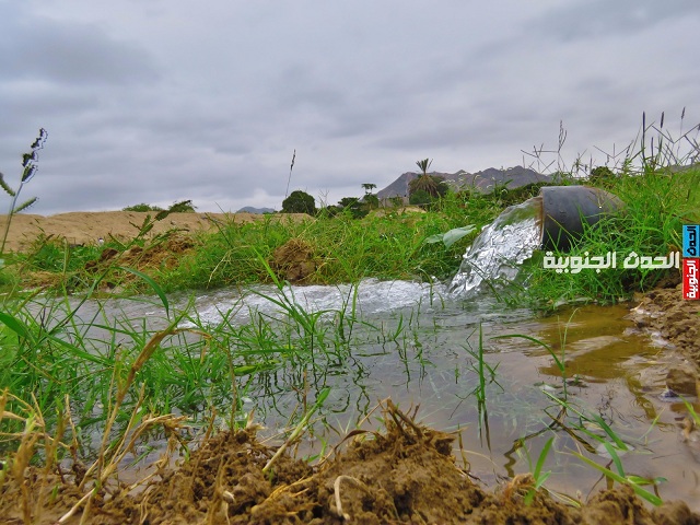 الكلمة الطيبة صدقة