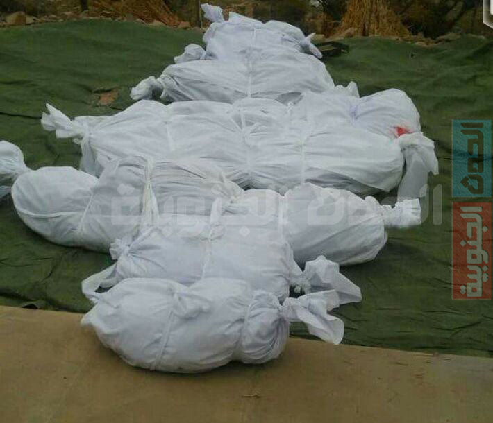 استشهاد مقاوم وسبعة من افراد أسرته بغارة خاطئة لطيران التحالف بالشريجة